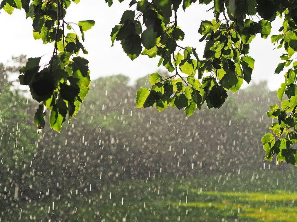 Unpredictable Weather Ahead: Expect Wind, Rain, and Sunshine This Week
