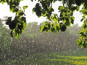 Unpredictable Weather Ahead: Expect Wind, Rain, and Sunshine This Week
