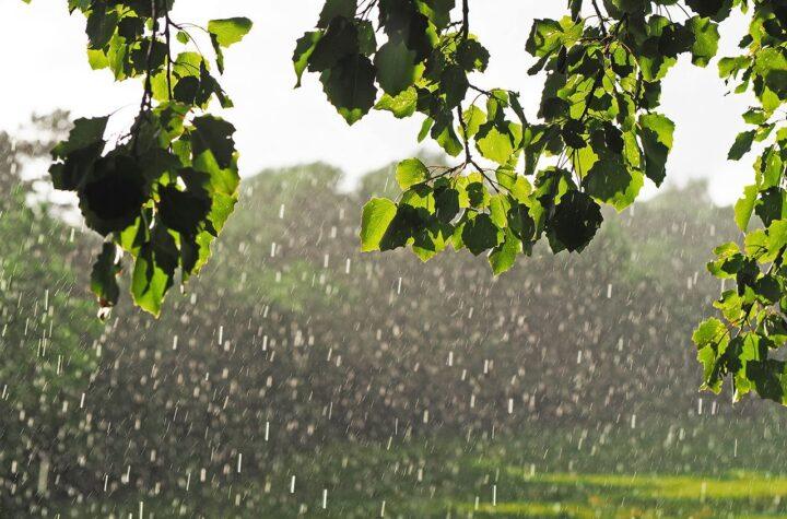 Unpredictable Weather Ahead: Expect Wind, Rain, and Sunshine This Week