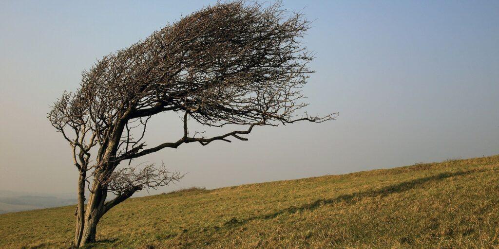 Prepare for a Turbulent Week Ahead: Weather Warnings Issued