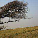 Prepare for a Turbulent Week Ahead: Weather Warnings Issued