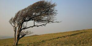 Prepare for a Turbulent Week Ahead: Weather Warnings Issued
